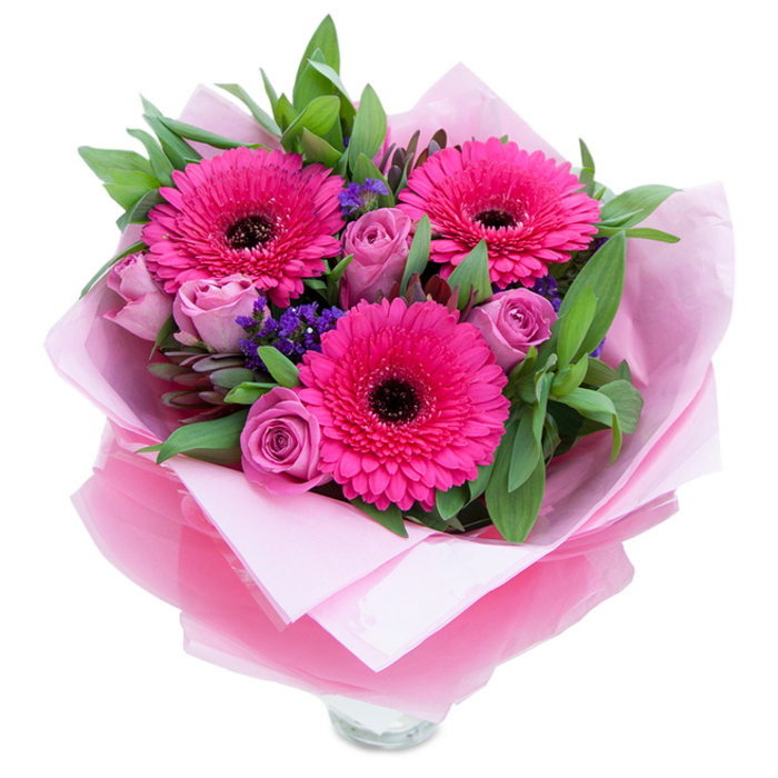 A vibrant bouquet photographed on a clean white field, where three spectacular fuchsia Gerbera daisies command attention with their full, radiating petals and pronounced dark centres that add dramatic contrast. Nestled in and around these confident blooms are several roses in a muted lavender-pink or dusty-rose hue, their petals still closely furled and soft to the touch, suggesting freshness and gentle restraint. Interspersed among the larger flowers are sprays of small purple statice or limonium that introduce a papery texture and cooler violet notes, the tiny clusters lifting the bouquet with a playful, meadow-like quality. The greens-broad salal leaves and the aromatic, silvery hints of eucalyptus-frame the flowers and give the composition a natural, garden-harvest fullness. The bouquet is wrapped in layers: an inner sheet of pale pink matte tissue providing a tender cushion, then an outer veil of translucent fuchsia-pink cellophane that shimmers faintly and echoes the flowers' vivid tones; the folds are precise and revealing, showing the artisan care in presentation. At the lower edge the clear glass vase rim is revealed, communicating readiness for display. In gentle morning light the rose petals show velvety softness, while the gerberas reflect light with a lively sheen; scent is delicate-a whisper of rose perfume married to a fresh, green gerbera note. This arrangement feels like a warm embrace, perfect for uplifting a friend, marking a birthday or anniversary, or bringing a touch of Highgate's village charm into a home by the Heath or along Archway Road.
