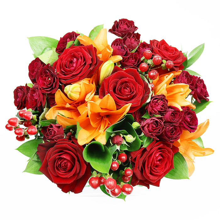 Captured directly from above on a clean white plane, this densely packed floral circle presents a sumptuous study in warm tones and varied textures. Dominating the composition are several large, fully opened deep red roses, their velvety petals unfurling in layered whorls that read as both luxurious and intimate. Interspersed among them are vibrant orange Asiatic lilies-some flaring wide to reveal prominent stamens and subtle speckling, others held as elegant, tapered buds-bringing architectural trumpet shapes that lift the bouquet visually. Smaller, tightly clustered dark burgundy spray roses are tucked into hollows between the larger blooms, their miniature rosettes supplying depth and a rich, wine-hued counterpoint. Scattered throughout are glossy hypericum berries in a true ruby red, introducing playful points of light and a contrasting firm texture against the softness of the petals. Broad, glossy green foliage-likely ruscus or salal-peeks through and around the flowers, providing a verdant cushion that frames the warm reds and oranges and imparts a fresh garden sensibility. The overall lighting is calm and even, revealing petal surfaces and subtle shadows without drama, so the tactile qualities-the rose's plushness, the lily's satiny sweep, the berries' shine-are clear to a touch-oriented imagination. This bouquet evokes celebration and affection and would sit beautifully in a Highgate sitting room or as a thoughtful gift following an afternoon in Waterlow Park or a gentle walk down Archway Road. It reads as elegant, abundant, and thoughtfully composed for moments of love, thanks, or seasonal cheer.