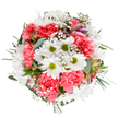 This spring-inspired bouquet radiates the character and tranquillity of Highgate, blending classic beauty with fresh, modern flair. Cheerful white daisies with golden-green centres take prominence, their bright faces surrounded by clouds of vivid coral-pink carnations-a textured interplay that recalls the artistry of Highgate's cottage gardens. Delicate gypsophila threads through the arrangement, adding an airy grace that softens and uplifts. Glimpses of blush-toned alstroemeria and aromatic eucalyptus suggest both fragrance and visual harmony, while deeper green foliage anchors the composition. The vibrant palette is both joyful and serene, ideal for birthdays, congratulations, or to brighten a loved one's day across N6. Each bloom and leaf is positioned with care, reflecting the skilled touch of Highgate's neighbourhood florists and the renewal that defines the changing seasons in this historic North London enclave.